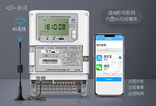 江苏林洋DTZY71-G|0.5S级