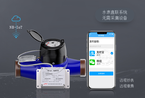远传水表LXSGY-40