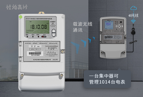 社为DTZY1980|0.5S级