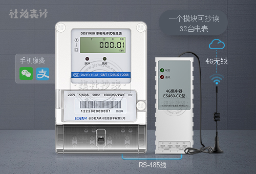 社为DDS1980 | 1级