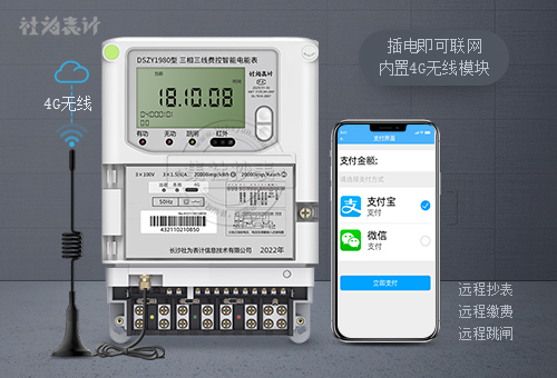 社为DSZY1980|1级/0.5S级