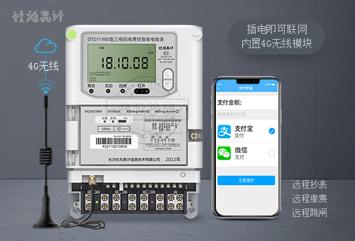 社为DTZY1980|1级/0.5S级