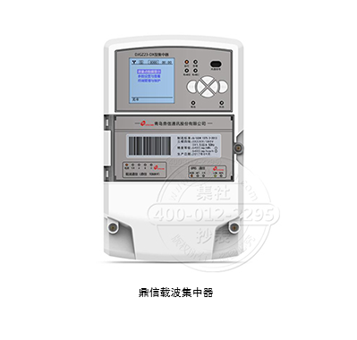 鼎信载波集中器