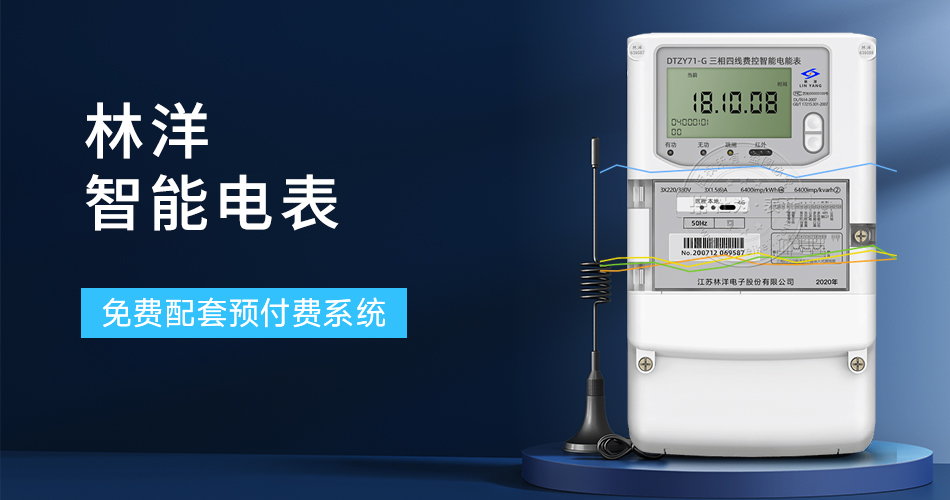 林洋电表