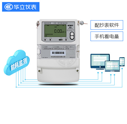 杭州华立DSZ535|1级