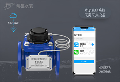 常德牌大口径水表LXSY