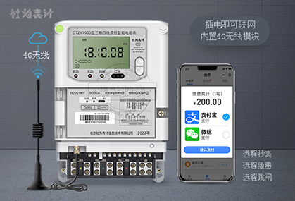 社为表计DTZY1980|1级/0.5S级