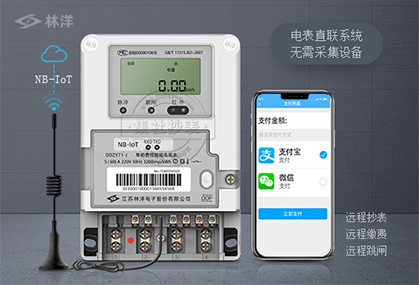 江苏林洋DDZY71-J |1级