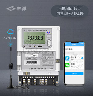 江苏林洋DSZY71-G | 0.5S级