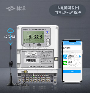 江苏林洋DTZY71-G | 0.5S级
